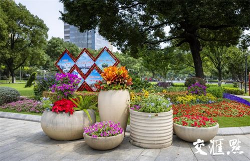 科技范 齒輪 轉(zhuǎn)動(dòng) 南京著 盛裝 慶國慶