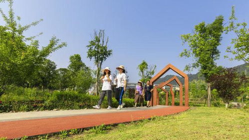 最美 無廢 南川區濱河公園喜提新稱號