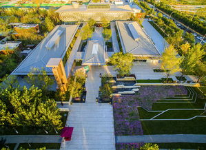 加盟鐵漢生態近一年,星河園林在天津交出了怎樣的成績單