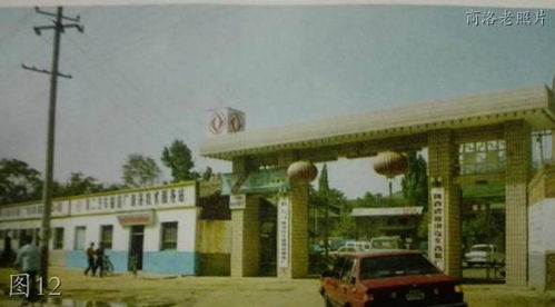 商洛老照片 中心廣場,蓮湖公園,丹鳳葡萄酒,烈士陵園,704廠