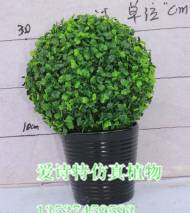 仿真樹(shù)批發(fā) 中高端仿真米蘭樹(shù) 生態(tài)園林裝飾 綠化工程 - 仿真樹(shù)批發(fā) 中高端仿真米蘭樹(shù) 生態(tài)園林裝飾 綠化工程廠家 - 仿真樹(shù)批發(fā) 中高端仿真米蘭樹(shù) 生態(tài)園林裝飾 綠化工程價(jià)格 - 東莞市愛(ài)詩(shī)特實(shí)業(yè) - 