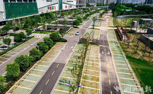 華中最大地下凈水廠地面公園開放鳳凰網湖北 鳳凰網