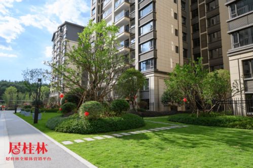 特殊時期,桂林這家房開的表現沒讓人失望