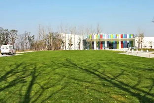 為了2022年杭州亞運會,蕭山出了全民大計劃 還有個蕭山版 中央公園 ....