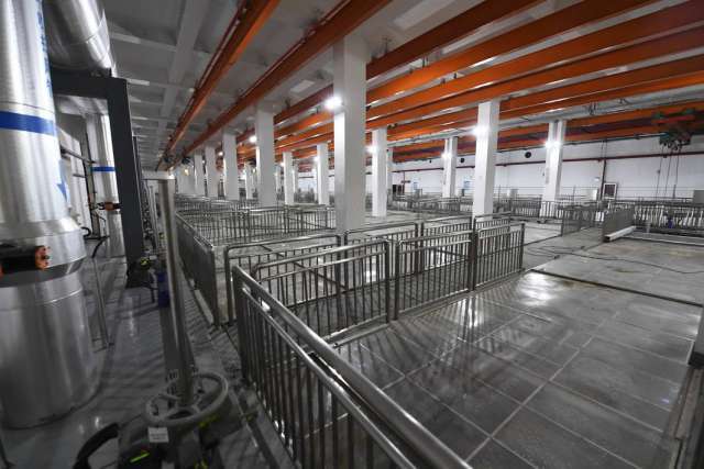 綠茵之下，匠心筑夢 一座公園的園林實業密碼