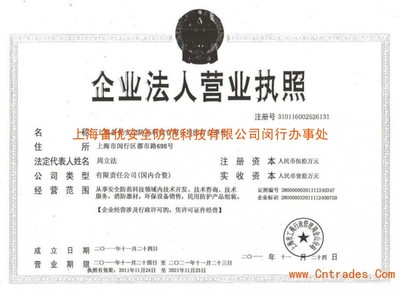 上海網(wǎng)絡(luò)技術(shù)服務(wù)營業(yè)執(zhí)照 申請要點與運營指南